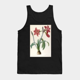 Amaryllis Brasiliensis (Brazilian Amaryllis) by Pierre-Joseph Redoute Tank Top